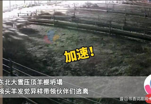 瓦伦西亚遭遇失利，领头羊位落