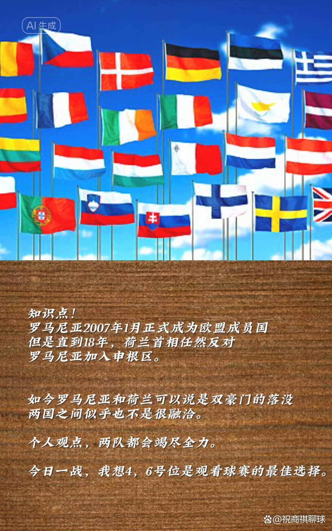 荷兰对抗罗马尼亚，争夺胜利